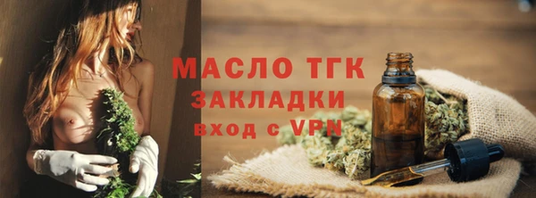 молекула духа Новозыбков