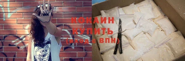 тгк Нея