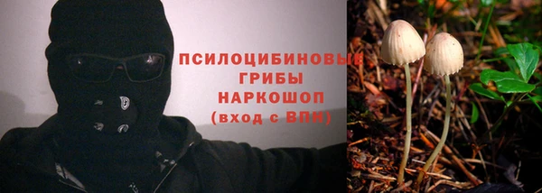 тгк Нея