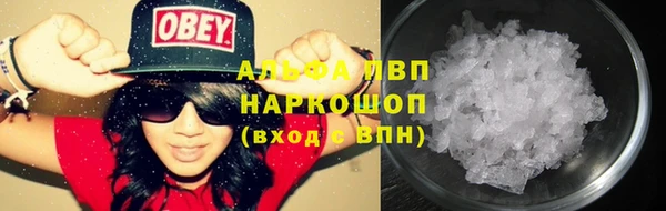 молекула духа Новозыбков