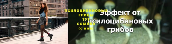 тгк Нея