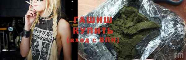 молекула духа Новозыбков