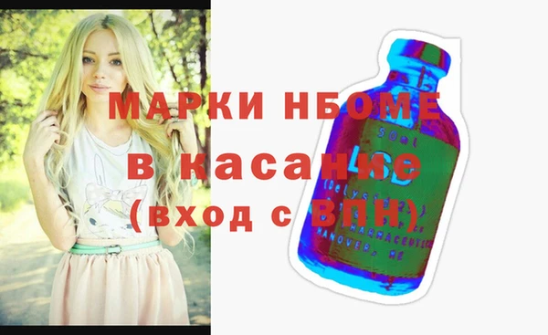 молекула духа Новозыбков