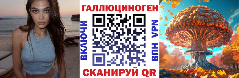 Псилоцибиновые грибы Psilocybe  Купить  Яхрома 
